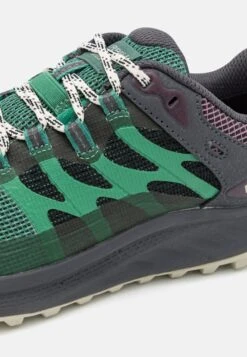 Merrell Antora 3 GtxScarpa Da HikingPine Green Donna Scarpe Da Montagna E Trekking ME141A0FL-M11 11 Merrell Antora 3 GtxScarpa Da HikingPine Green Donna Scarpe Da Montagna E Trekking ME141A0FL-M11 -Vendite Mammut 3eb924d727c941368972e3d1a8bd9737